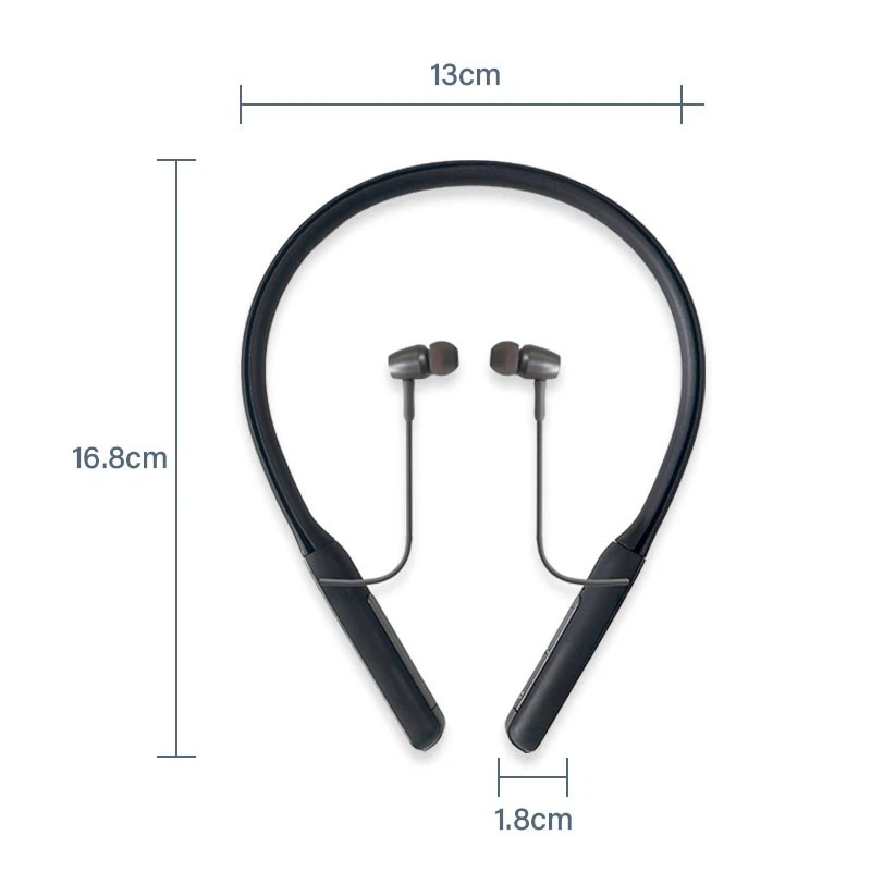 Rechargeable Neckband Hearing Aids best